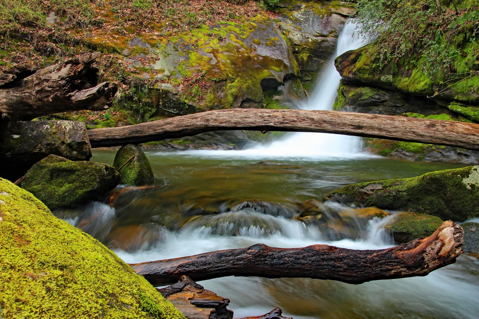 The Adventures of Bushwhack Jack 20190406 Darnell Creek to Double Knob