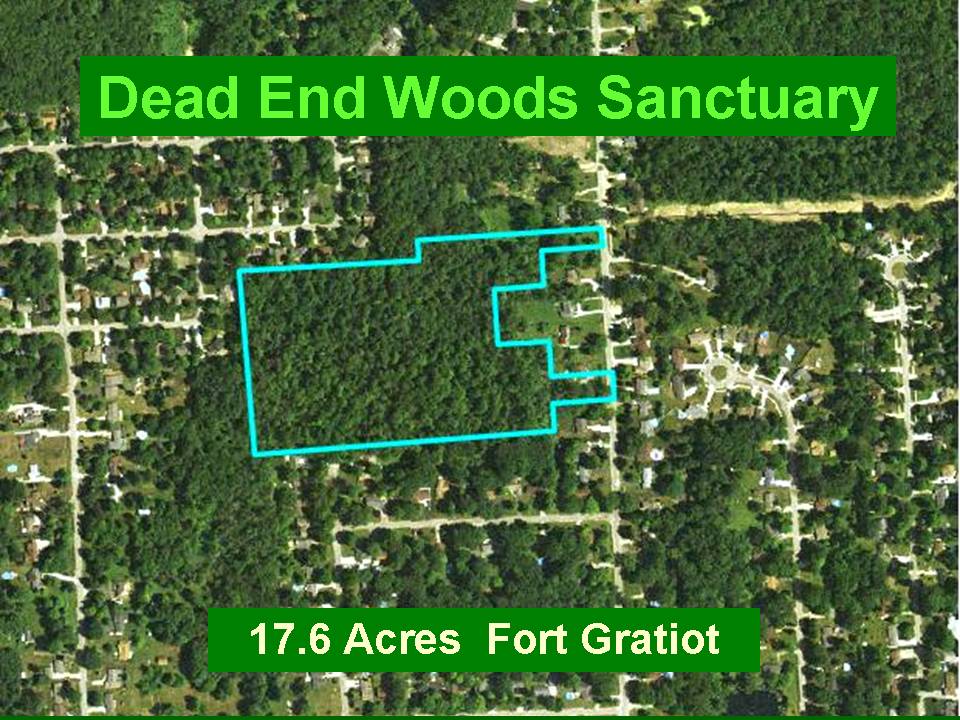 Dead End Woods Sanctuary
