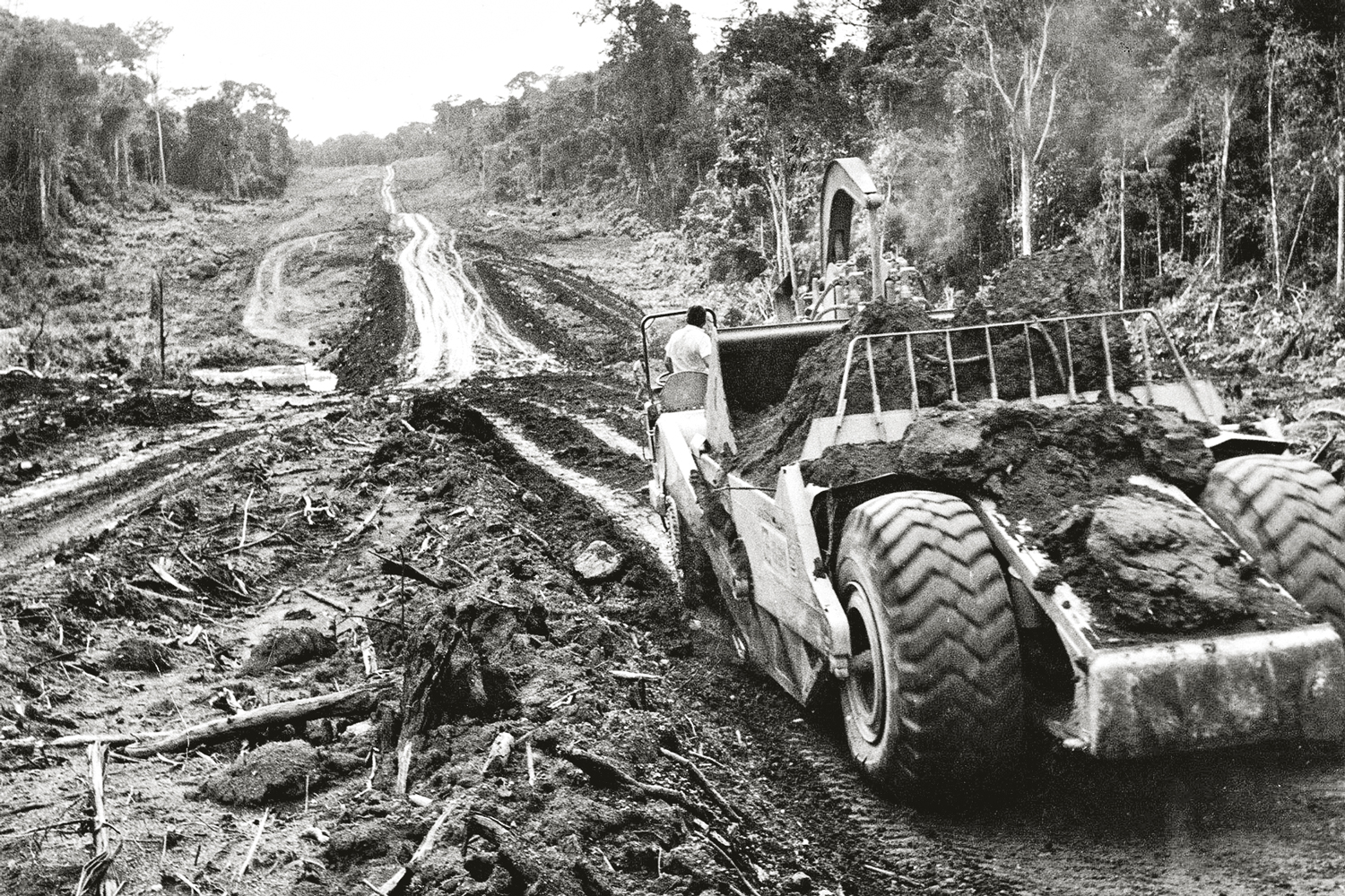 União condenada a indenizar indígenas em R$ 10 milhões devido a Transamazônica