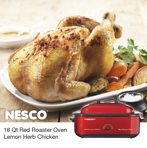 NESCO® Roaster Ovens Dehydrators Small Appliances Jerky Spices