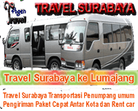 travel surabaya lumajang