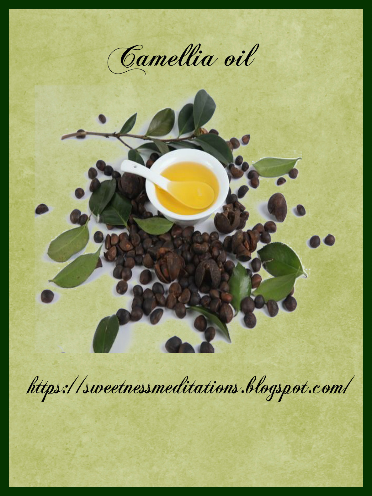 Sweetness Meditations Benefits of Camellia Oil