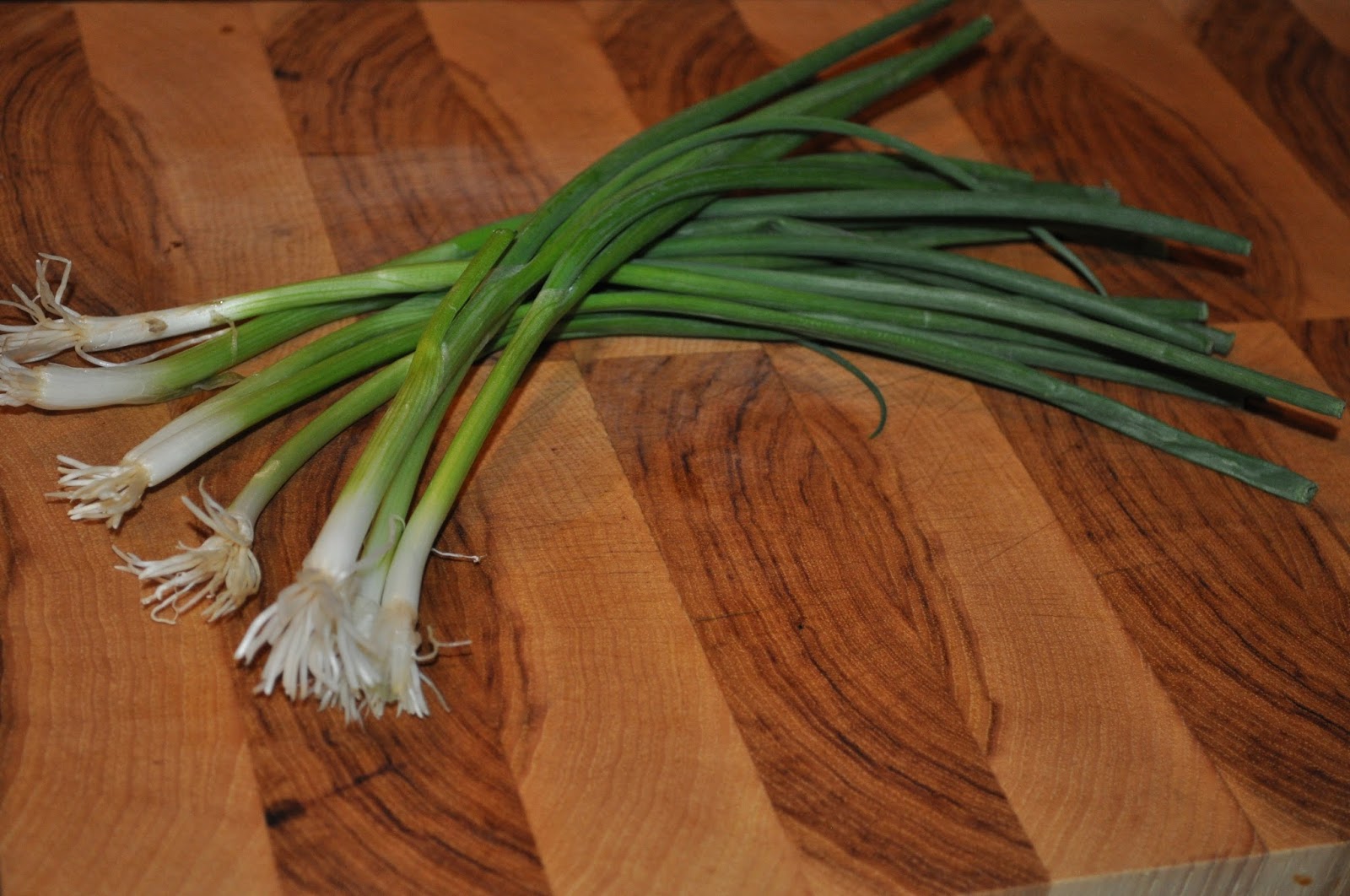 Starting From Seed How to keep your green onions from going limp!