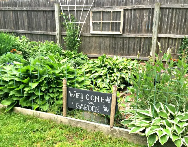 Green garden with garden sign.