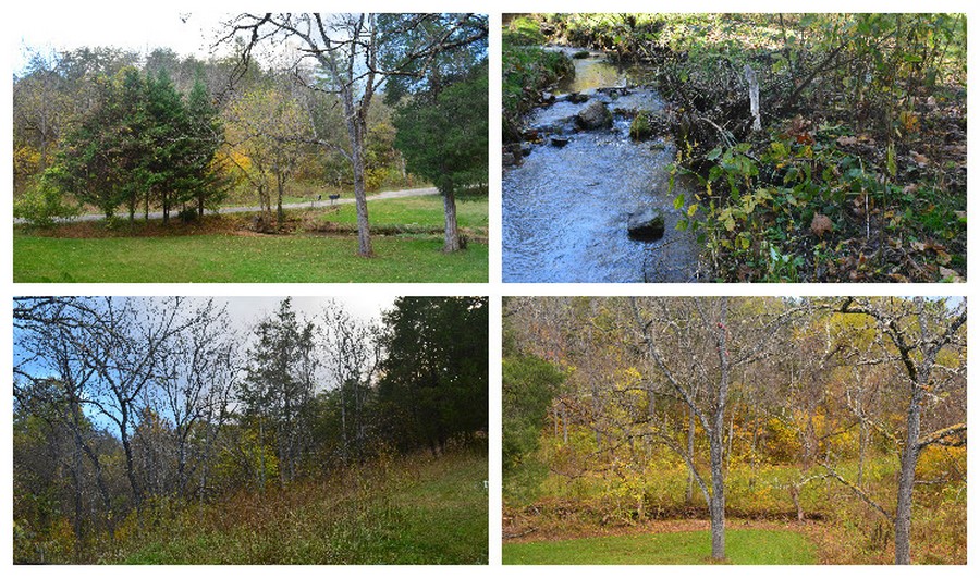 AUTOMNE AUTOMNE