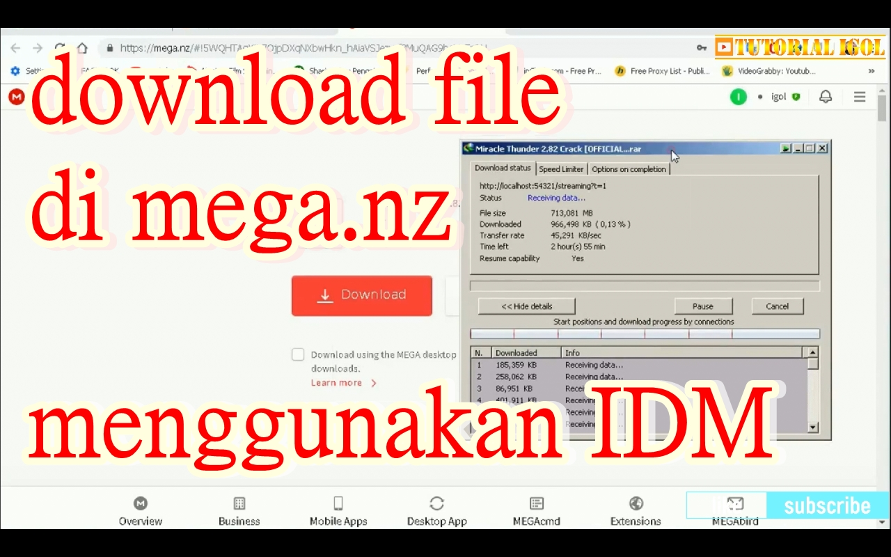 Download File di mega.nz menggunakan idm download manager