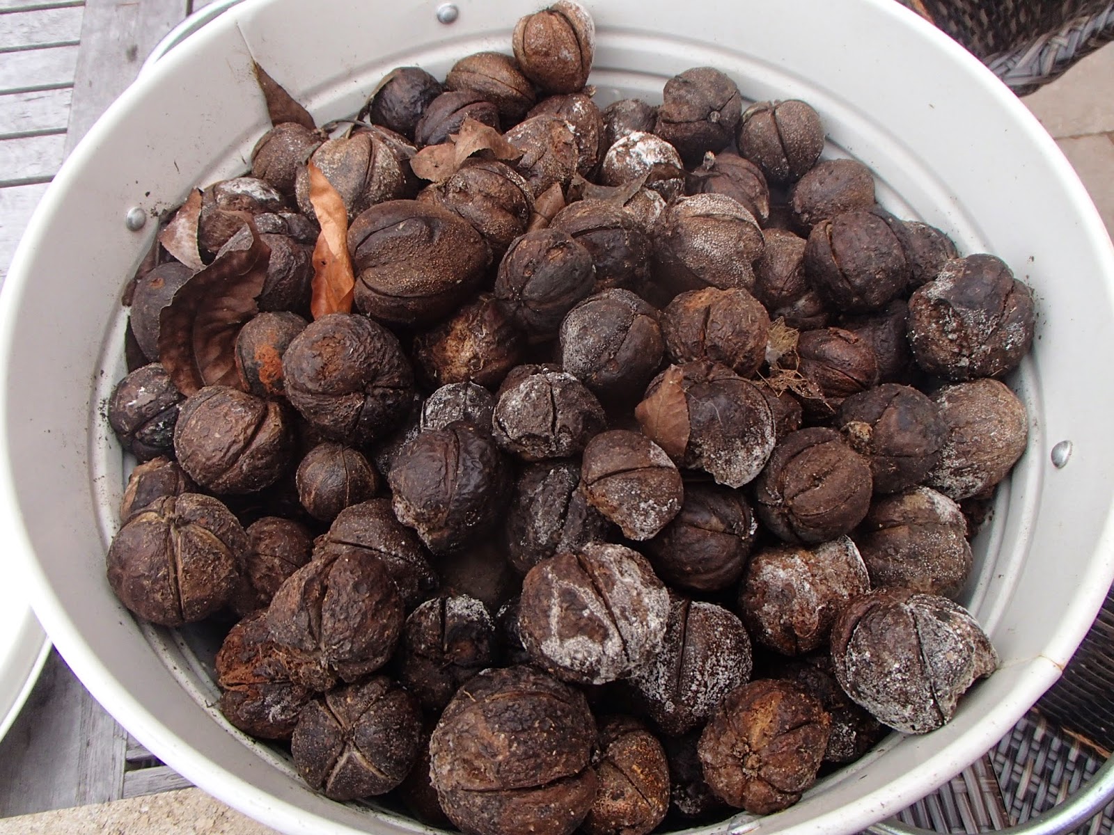 Ridge Berry Farm Hickory Nut Pie