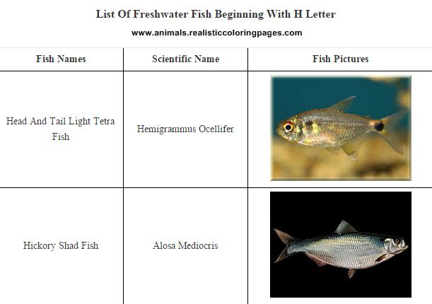 List of freshwater fish beginning with H List of freshwater fish beginning with H