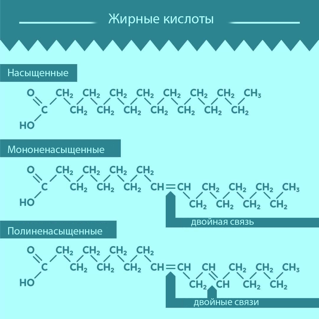 Богатый жирами