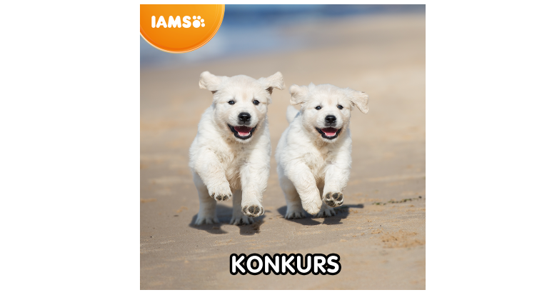 Wygraj voucher do wykorzystania w sklepie FERA na karmy IAMS Konkurs