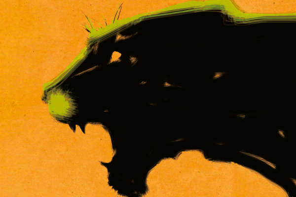 Ler(-te): A Confissão da Leoa (Mia Couto)