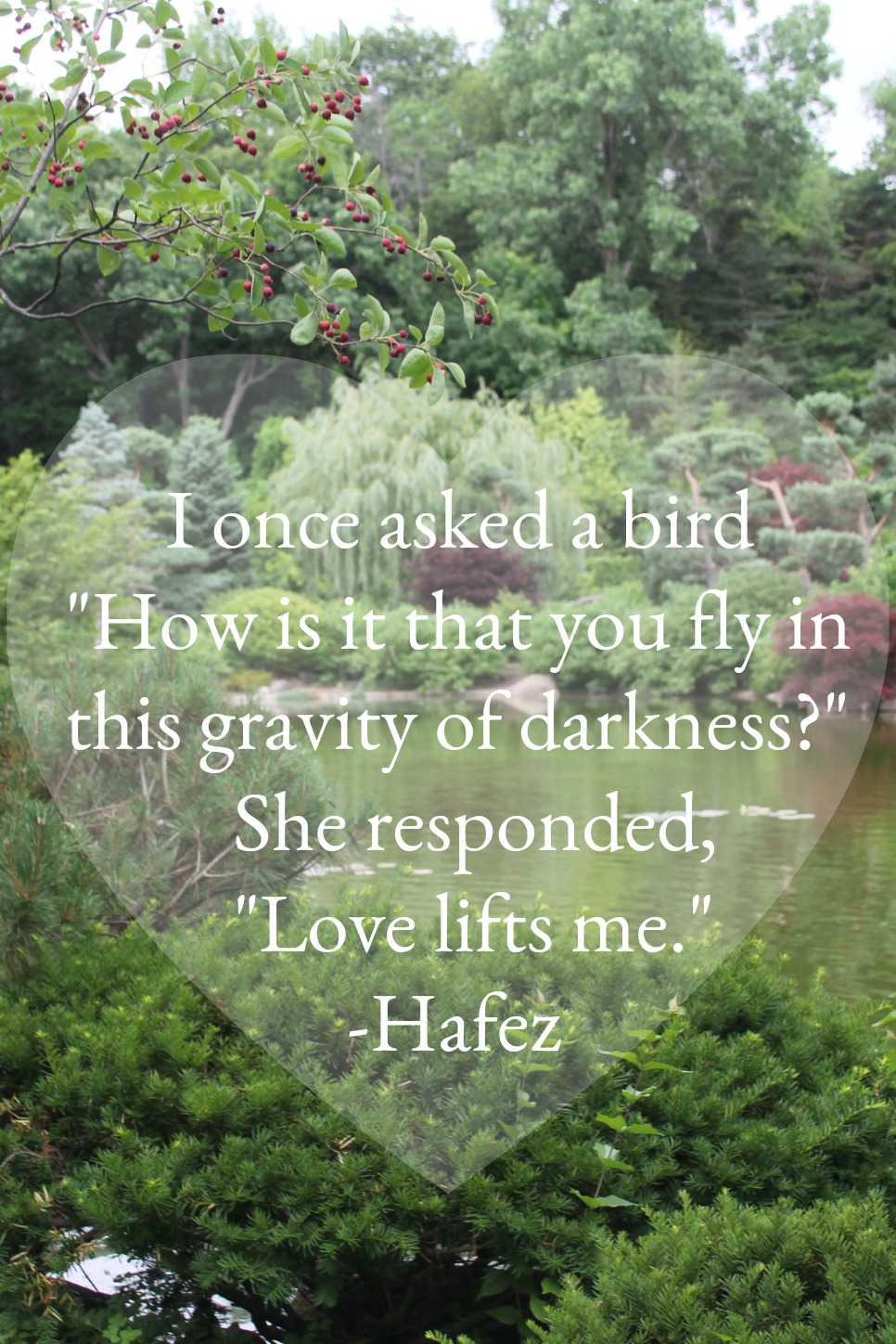 Hafez quote. I once asked a bird How is is that you fly in this gravity of darkness? She responded Love lifts me. #hafez #hellolovelystudio #encouragement #poetry #inspiringquote
