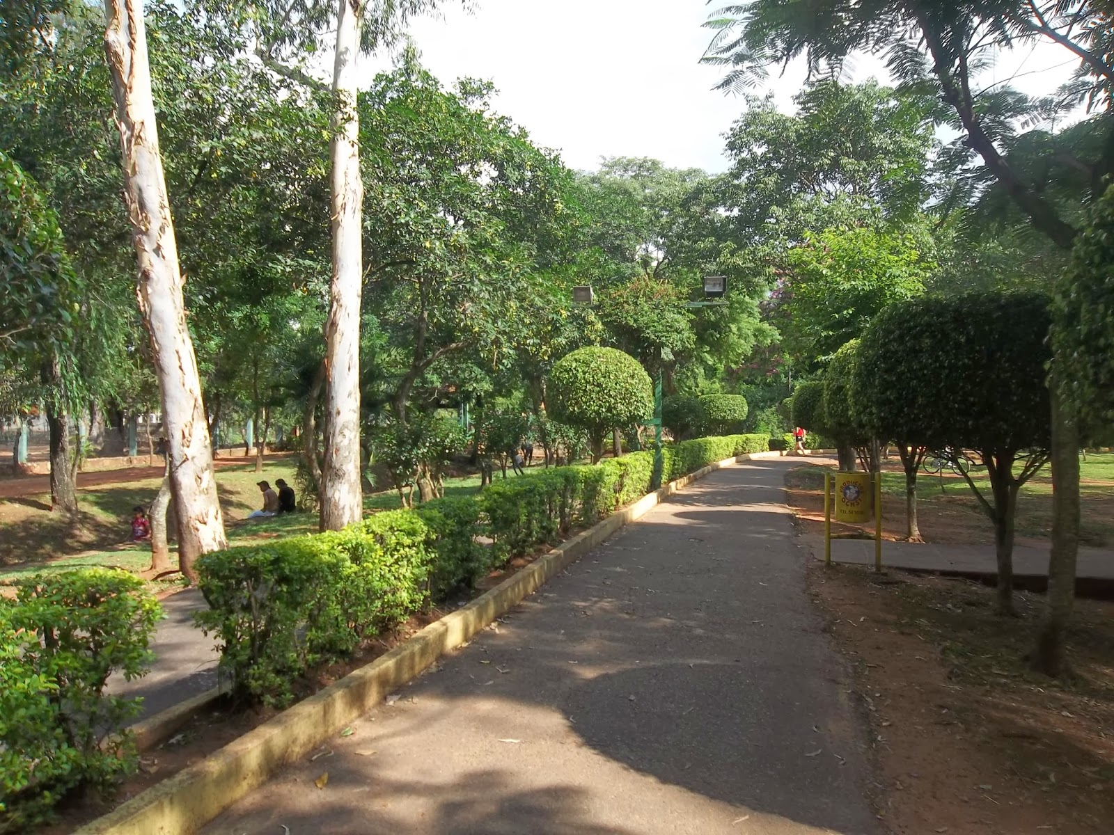 ¡ROHAYHU PARAGUAY! San Lorenzo del Campo