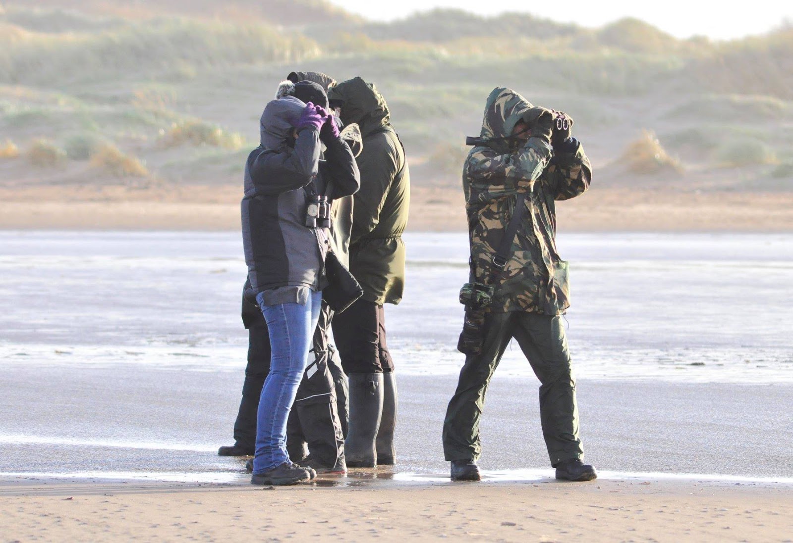 Is Ainsdale Beach Dog Friendly