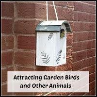 Attracting Garden Birds Bird Box with Title Overlaid