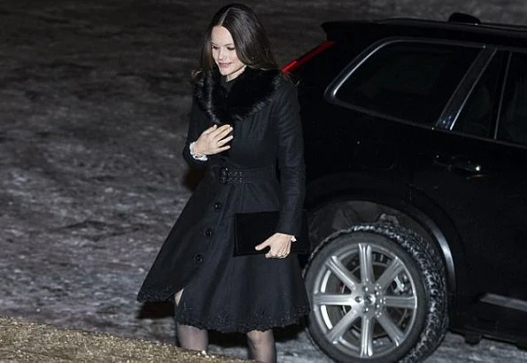 Princess Sofia wore Philosophy Di Lorenzo Serafini Lace Trimmed Long Sleeve Dress. Sophiahemmet University of honorary PhD to Princess Christina