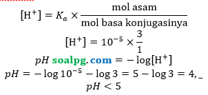 ph buffer larutan penyangga