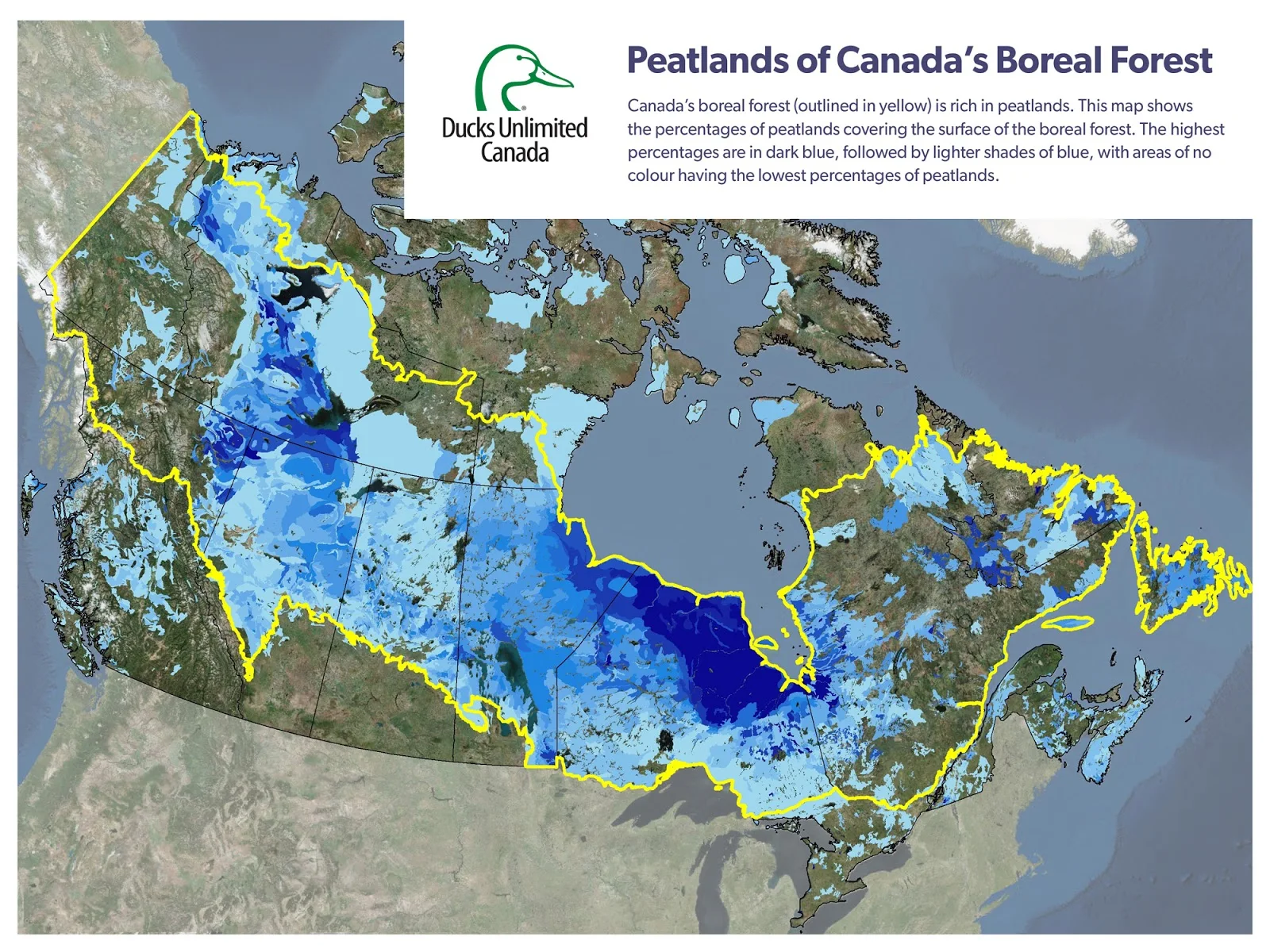 Carbon Storing Peatlands in Canada's Boreal Forest 