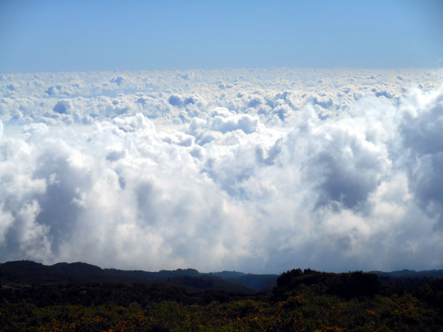 MONTES: agosto 2016