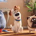 Por que você precisa assistir Pets - A Vida Secreta dos Bichos (e depois ver de novo)