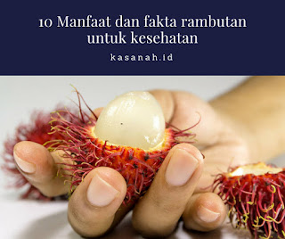 buah rambutan buah rambutan