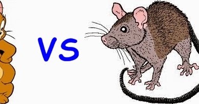 RAT definição e significado