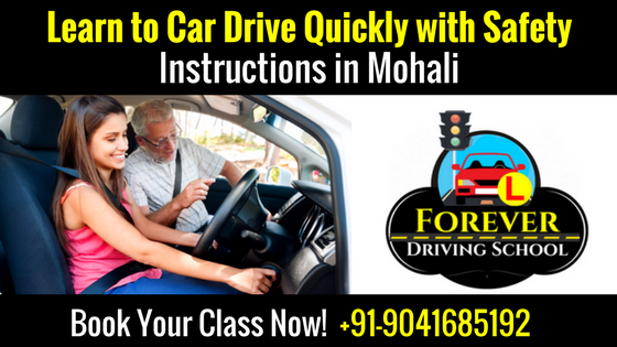 Learn to Car Drive Quickly in Mohali