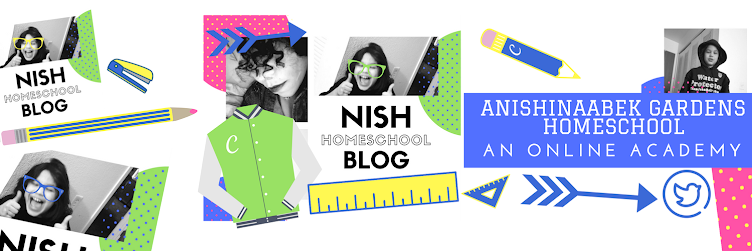 Nish Homeschool Blog 