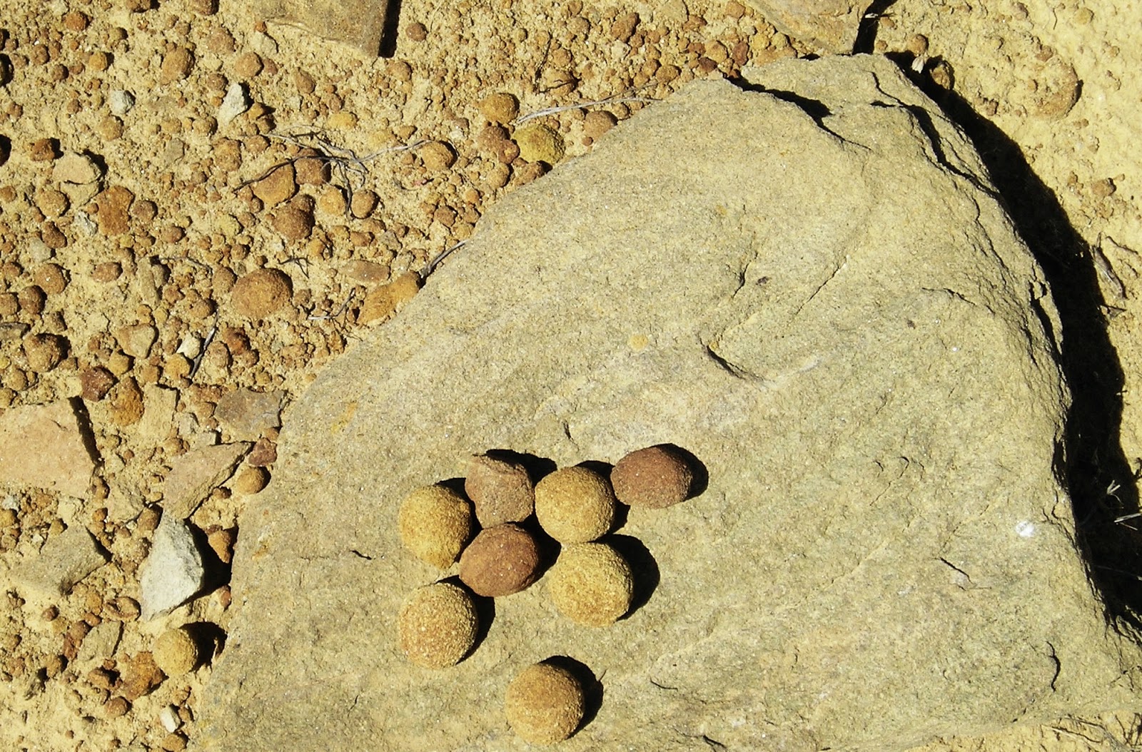 Rocks of Wyoming: Stones found in the Bighorn Mountains of Wyoming