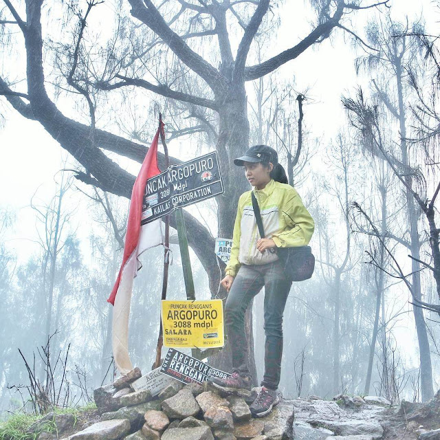 puncak argopuro foto puncak gunung argopuro jawa timur