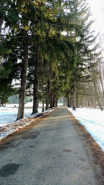 Парк Кіттатінні, Нью-Джерсі (Kittatinny Valley State Park, Newton, NJ)