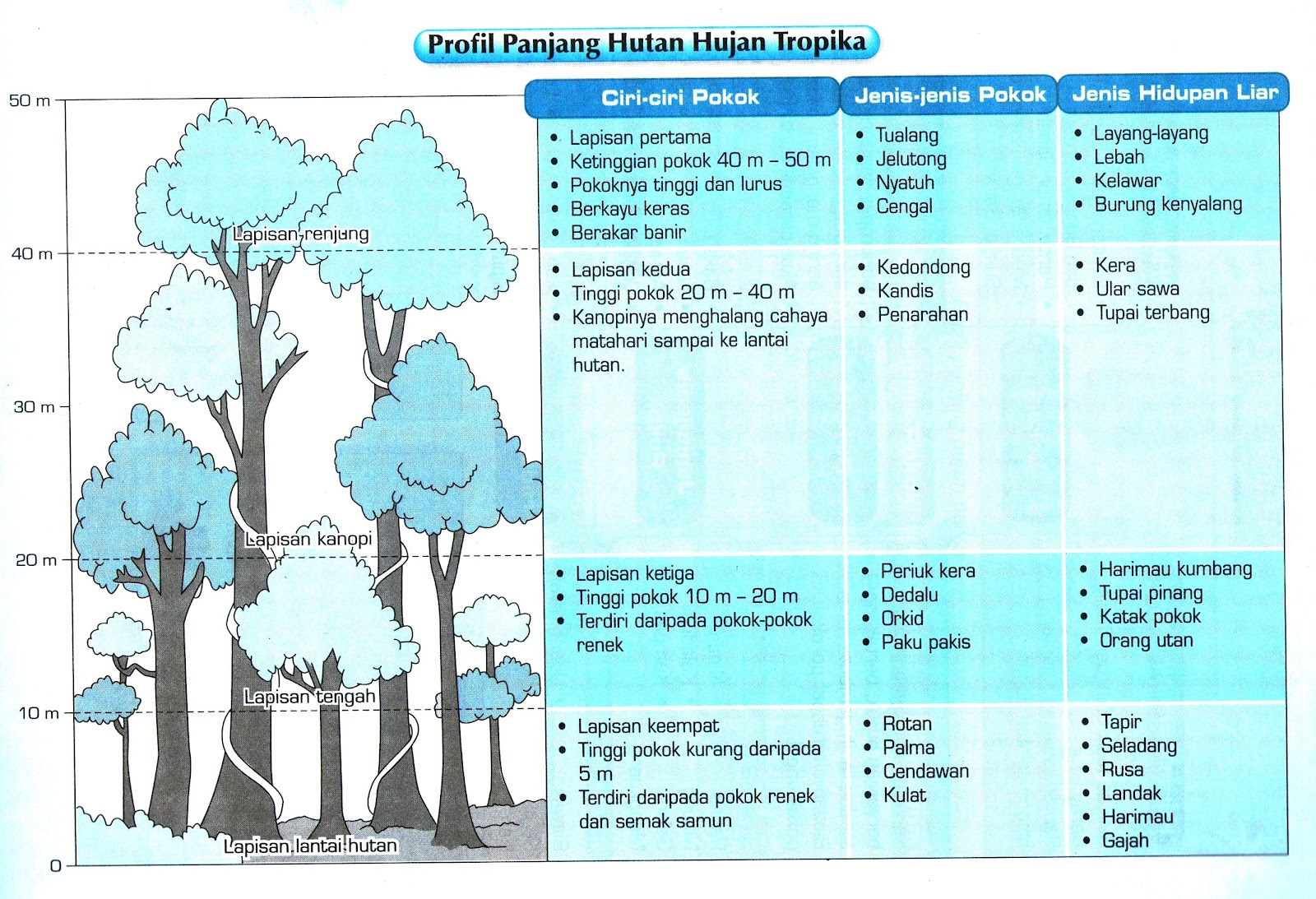 Soalan Geografi Tingkatan 1 Bab 6 - Meteran l