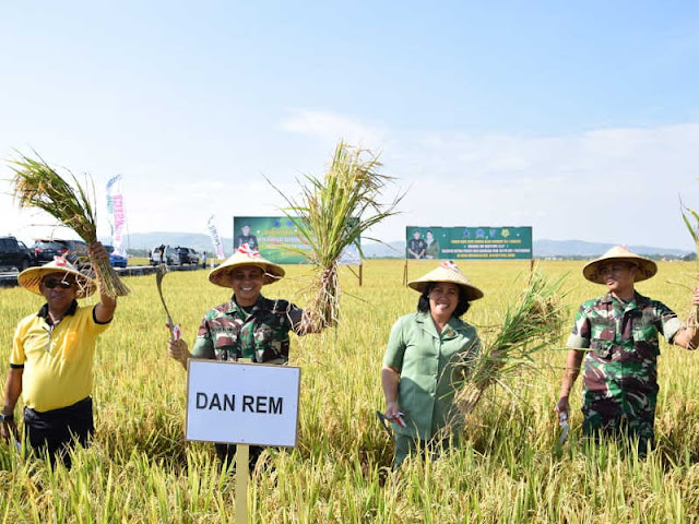 Korem Binaiya dan Pemkab Buru Gelar Panen Raya di Wanareja Korem Binaiya dan Pemkab Buru Gelar Panen Raya di Wanareja