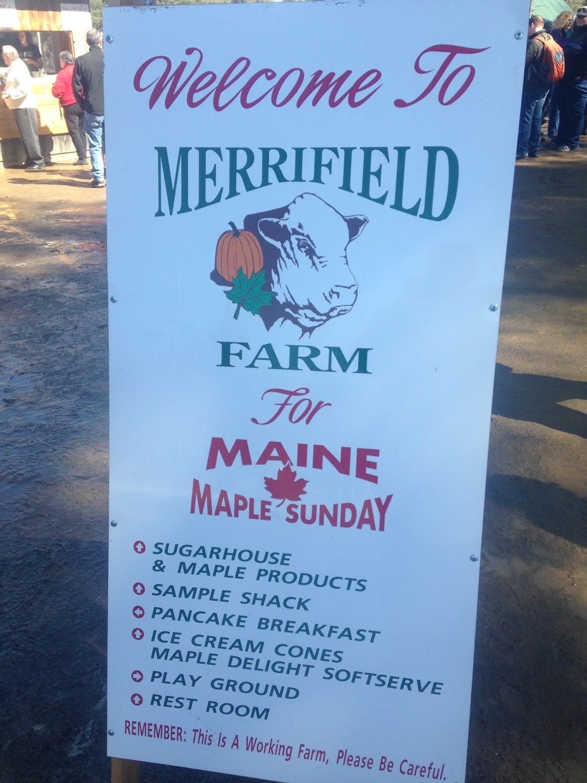 Maine Island Inn Maple Weekend