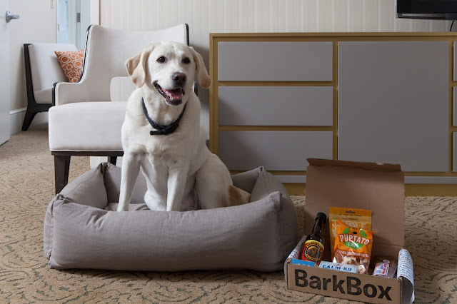 The Benjamin hotel goodDog program
