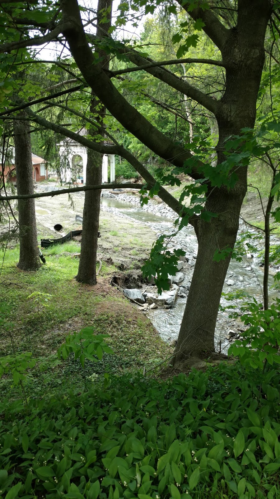 Pandora's Box An afternoon in Sharon Springs, NY....