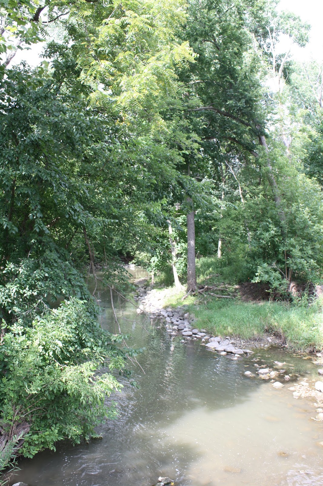 A Little Time and a Keyboard Summer Afternoon Enjoying Petrifying