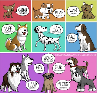 Comunicacion Del Hombre Con Los Animales Comunicacion Del Hombre Con Los Animales