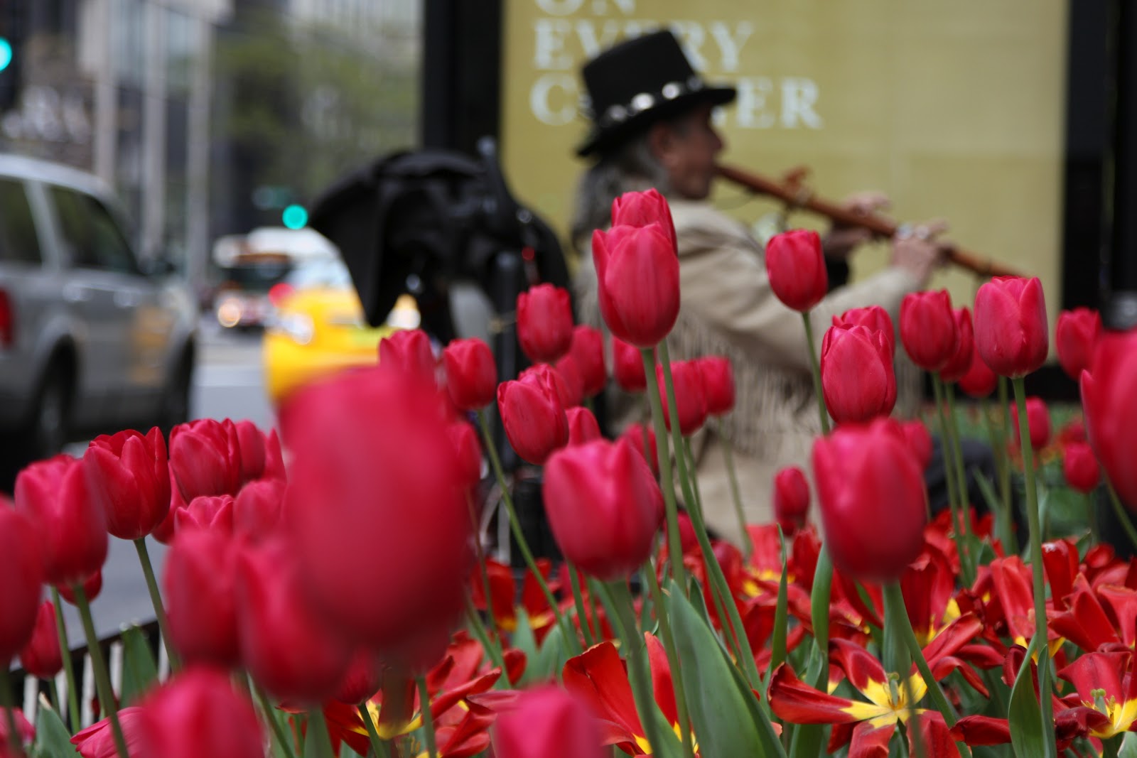 Wherever It Takes City Flowers, Chicago