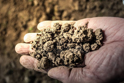 http://st2.depositphotos.com/4966955/10643/i/450/depositphotos_106430426-stock-photo-hand-with-soil.jpg