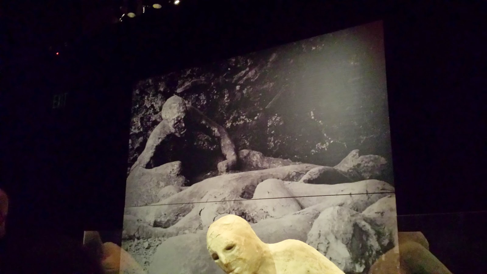 Pompeii Museum Exhibition