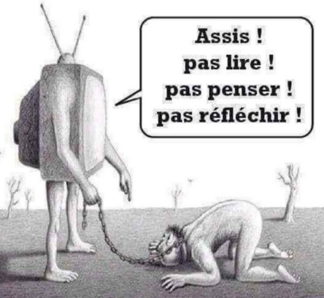 Photographie d'illustration