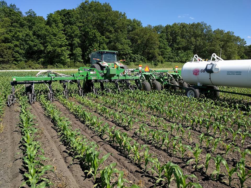 Industrial History Feeding Corn (Fertilizing)