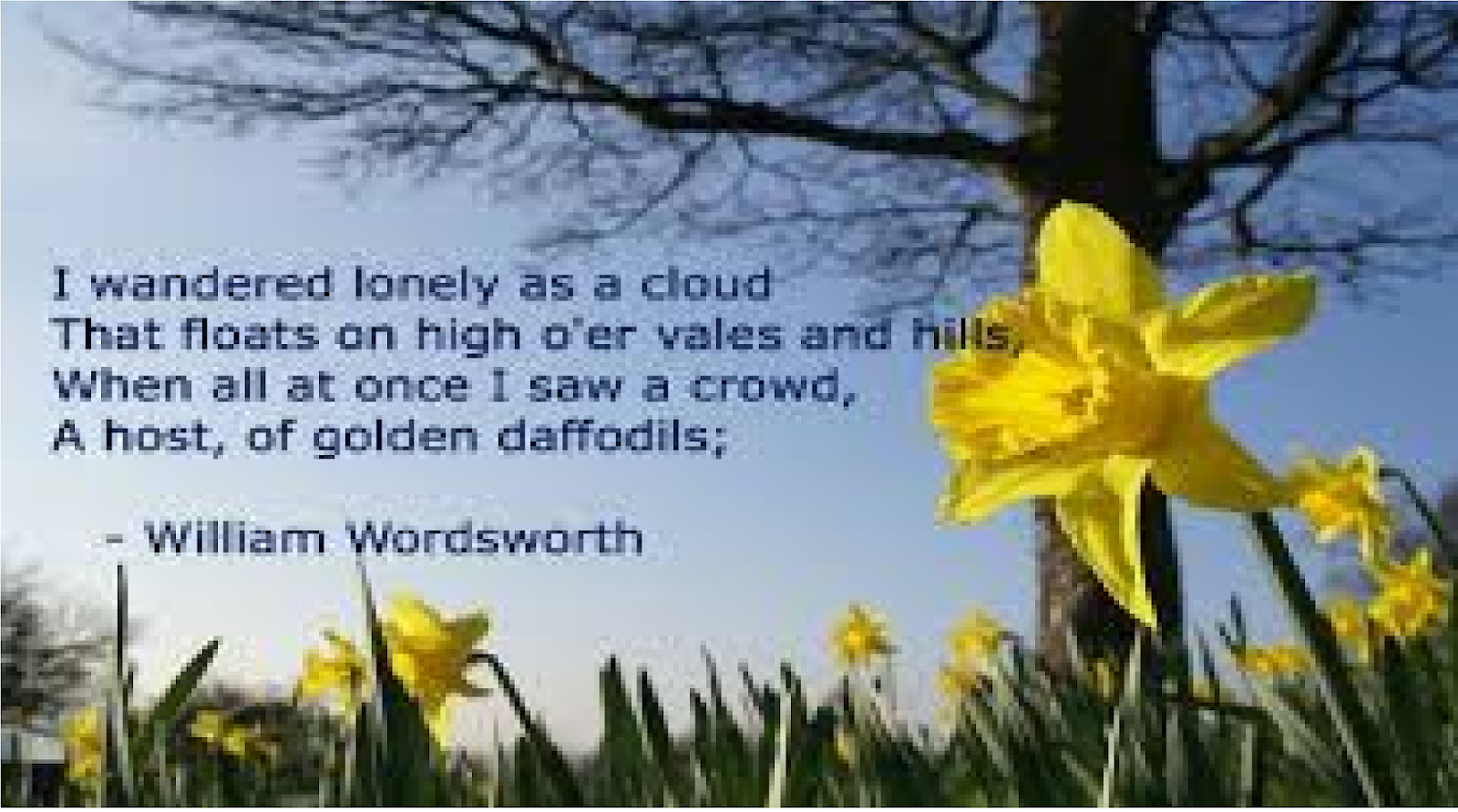 😀 Daffodils poem summary. Summary and Analysis of Daffodils by William