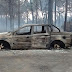 Incendio forestal en Bulnes se logró controlar