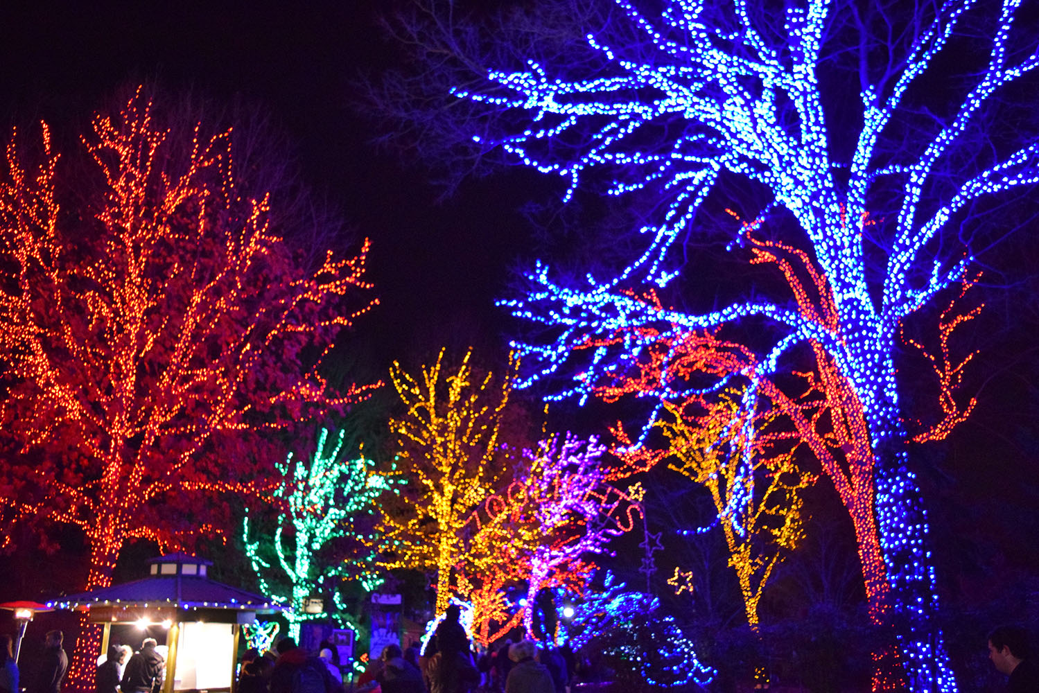 Jason's View from DC Zoolights at the National Zoo