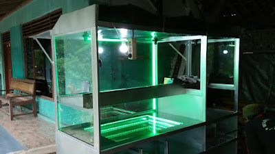 Gerobak Besi Fried Chicken Ide Usaha Kreatif Gerobak Besi Fried Chicken dengan lampu efek LED Mirror