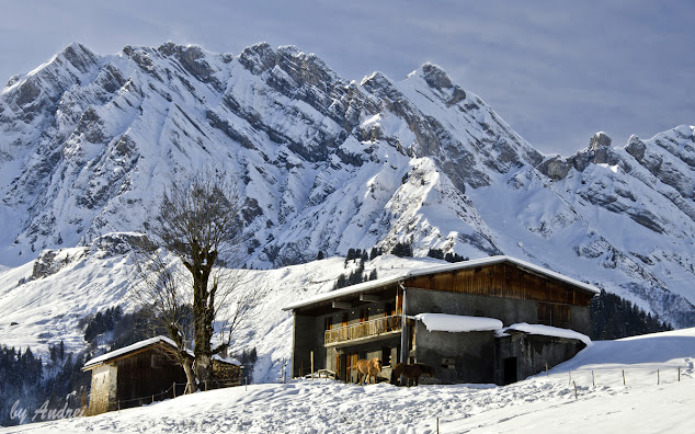 Giettaz-en-Aravis, Masivul Beaufortain, Alpii Francezi,