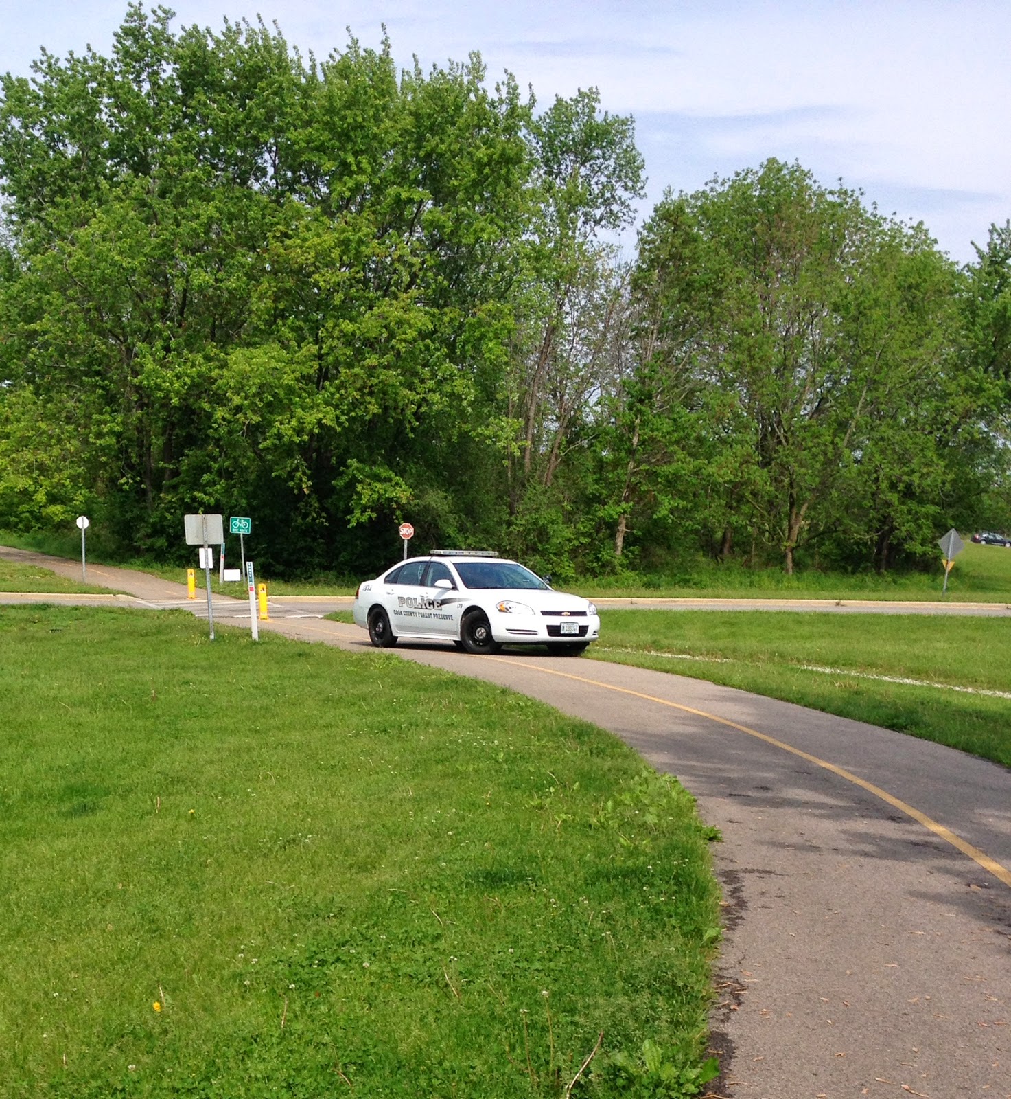 But in spite of all that, there is the beauty and nature that these