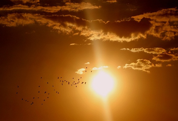 what-is-Sunspots-Solar-Winds-Solar-Flare-Definition-ما-هو-تعريف-البقع-الشمسية-الرياح-الشمسية-الانفجار-الشمسي